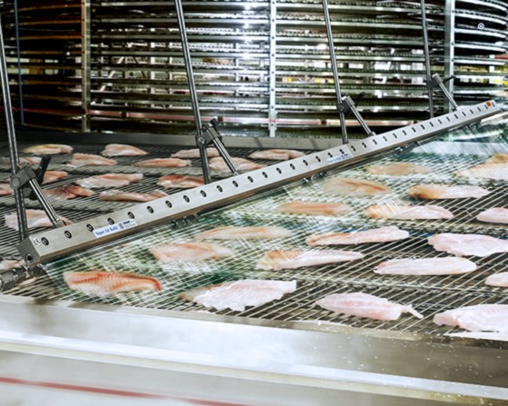 Fish Fillet Blow-off